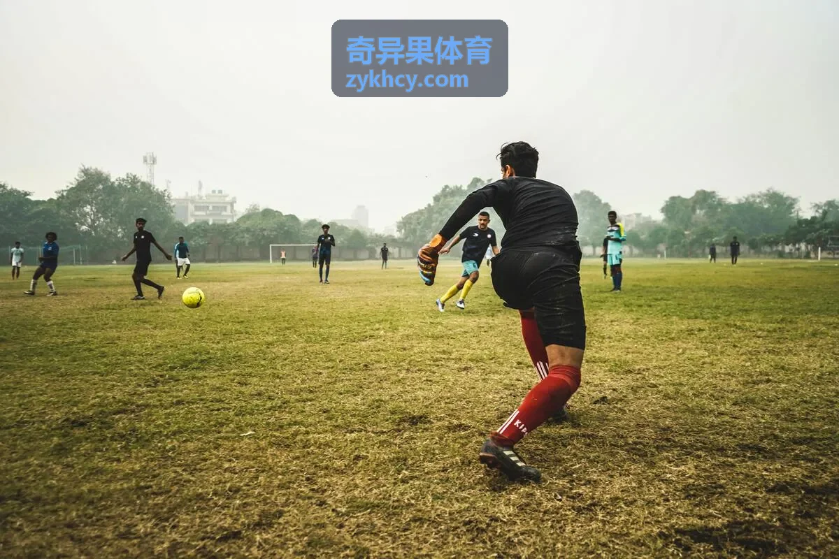 奇异果体育场馆运营案例